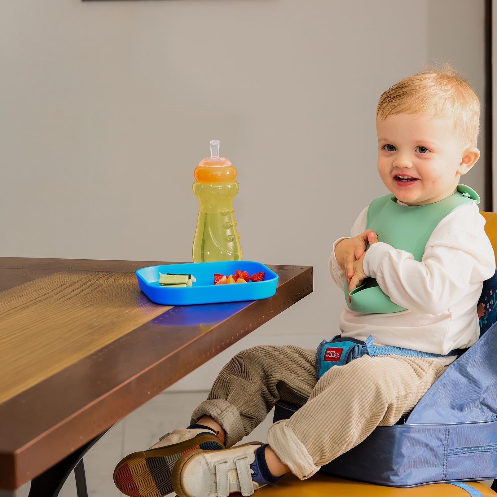 Easy Go High Chair Booster Seat | Bears