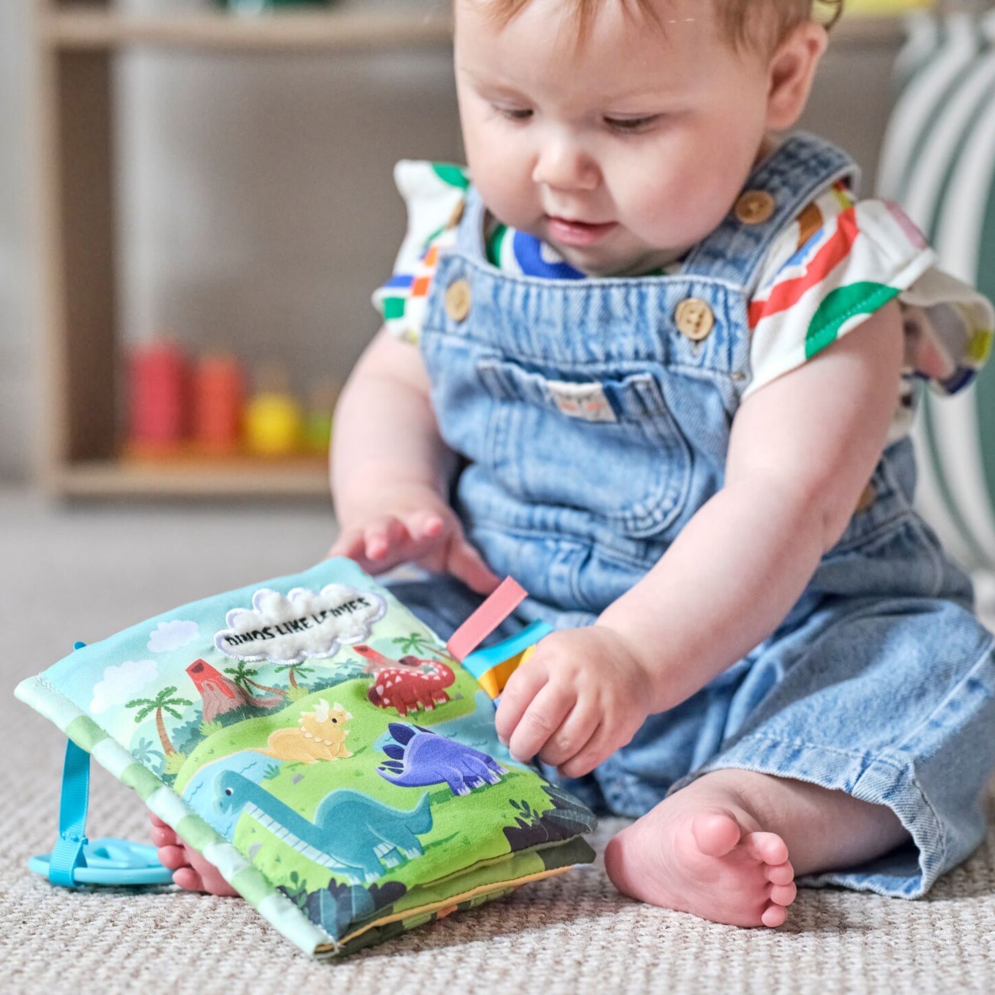 Baby Sensory Book | Dino
